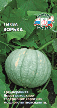 Тыква Зорька