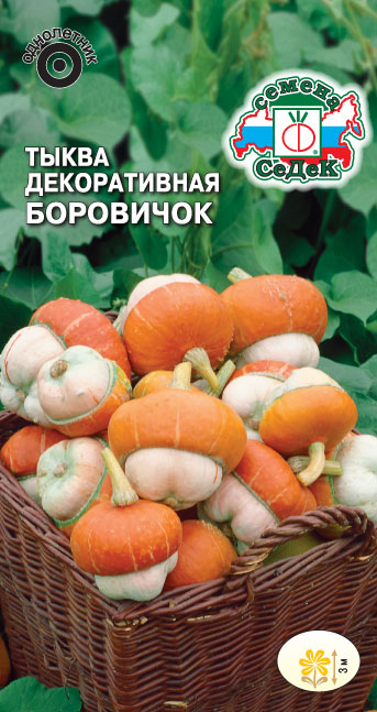Тыква Боровичок (декоративная)