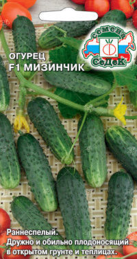 Огурец Мизинчик F1