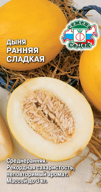Дыня Ранняя Сладкая