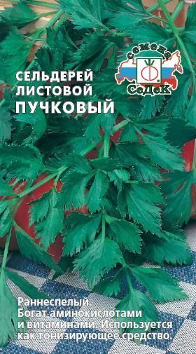 Сельдерей Пучковый (листовой)