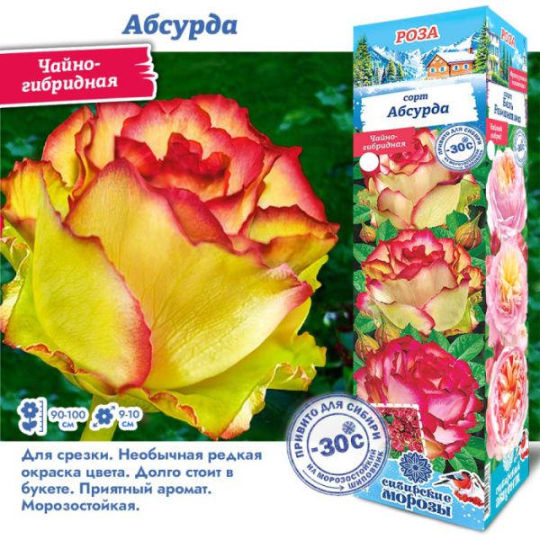 Роза Абсурда