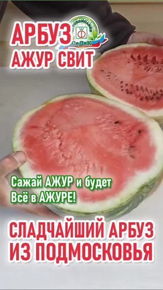 Арбуз Ажур Свит.