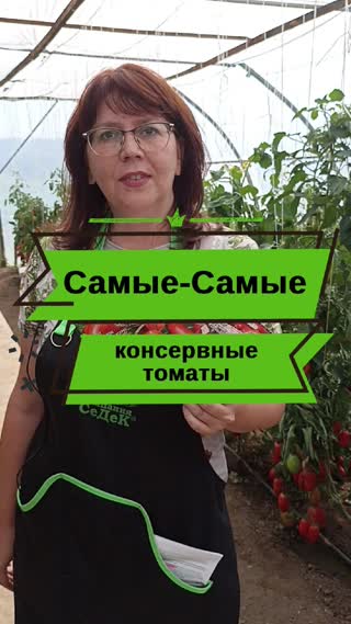 Томаты для хозяек, которые любят делать много домашних заготовок на зиму