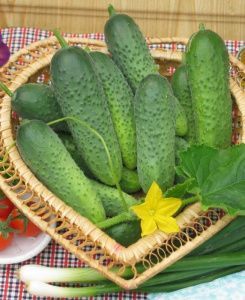 огурец Борис F1  10 г