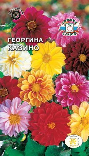 Цветок Георгина Казино (смесь)