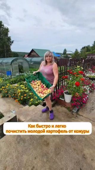 Молодой и вкусный картофель легко!