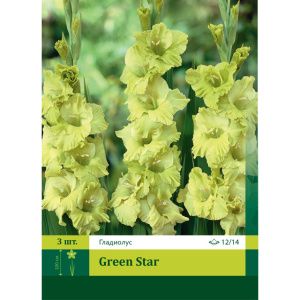 Гладиолус Грин Стар 3шт