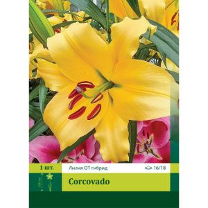 Лилия Корковадо