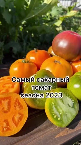 Самый сахарный томат 