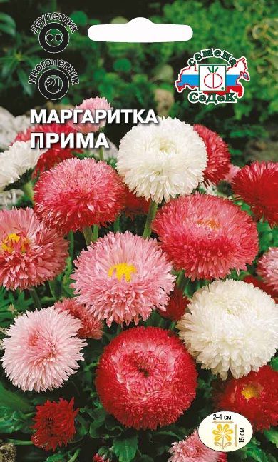 Цветок Маргаритка Прима (смесь)