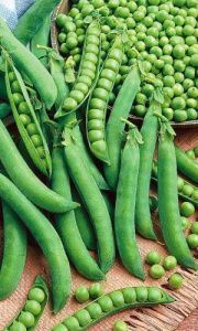 горох Сенатор  250 г