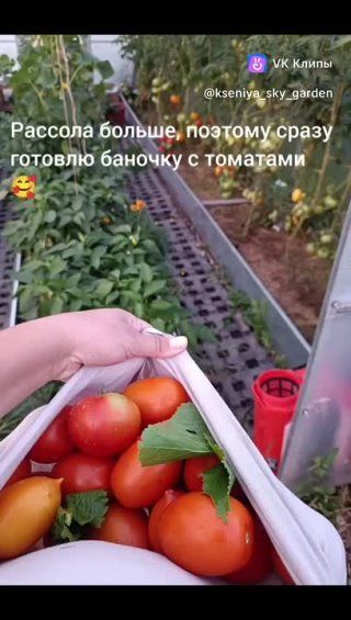 Закрутка из длинных огурцов без уксуса!