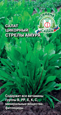 Салат Стрелы Амура (цикорный)