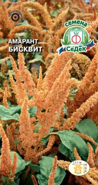 Цветок Амарант Бисквит