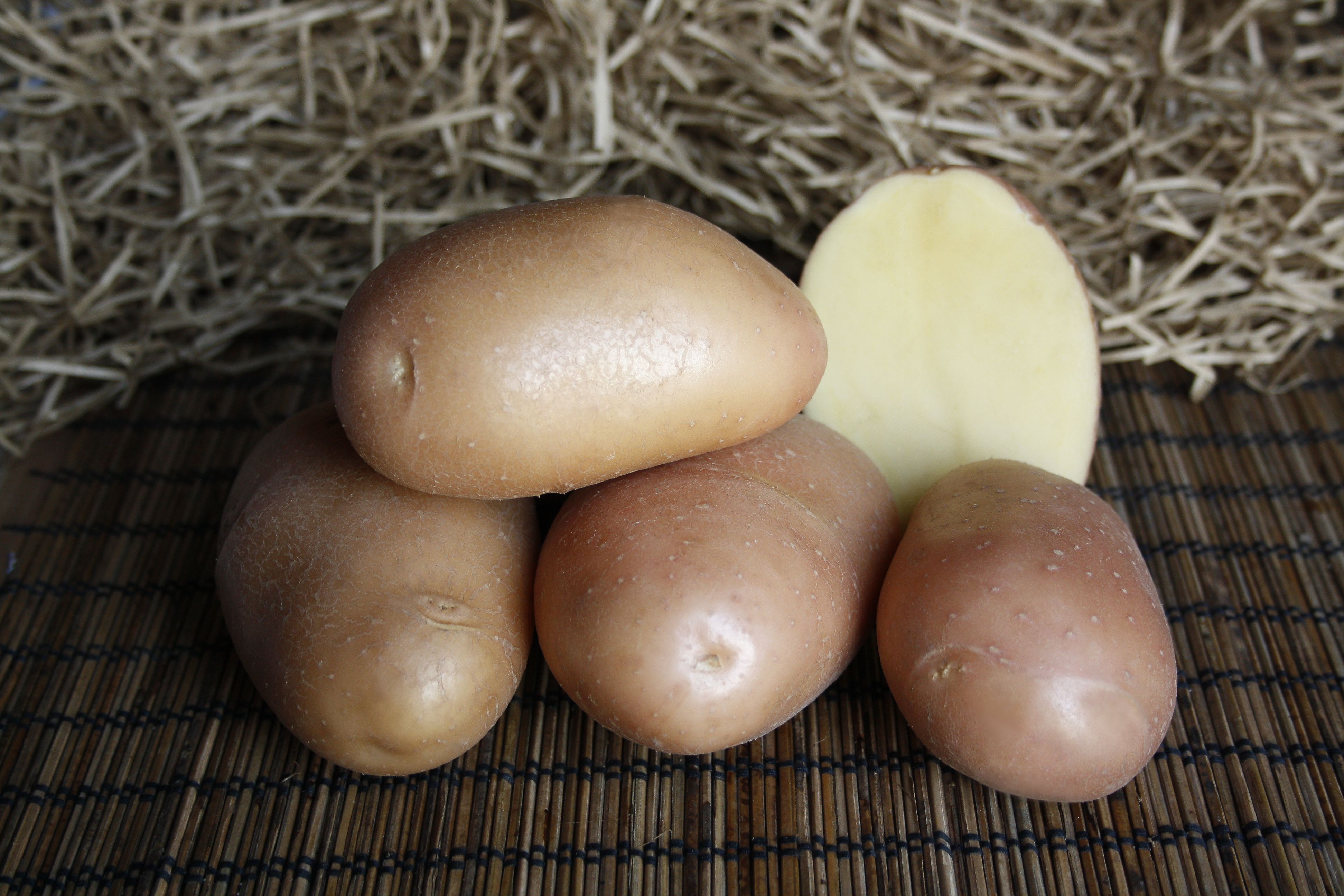 Семенной картофель Ажур (2кг, Элита)