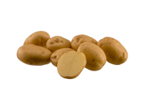 Семенной картофель Ривьера Элита 2 кг