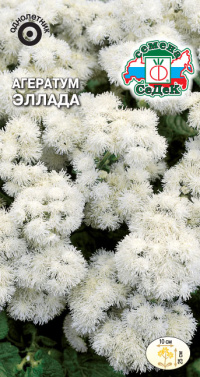 Цветок Агератум Эллада