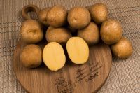 Семенной картофель Лада Элита 2 кг