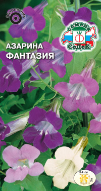 Цветок Азарина Фантазия