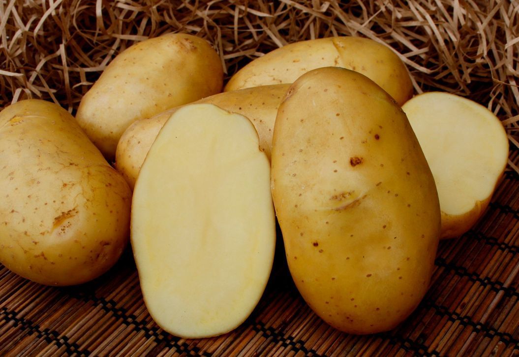 Семенной картофель Колетте (2кг, элита)